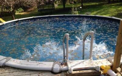 Leaves In Your Pool? Protect Your Plumbing & Filtration Lines!